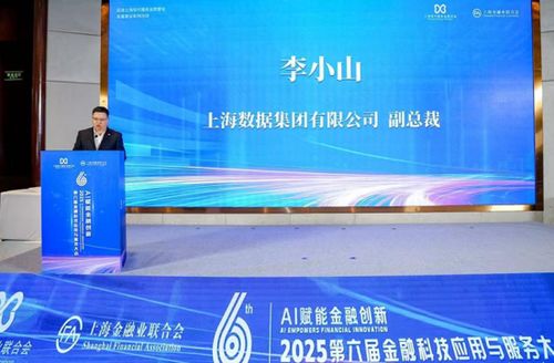 AI賦能金融創(chuàng)新 2025第六屆金融科技應(yīng)用與服務(wù)大會(huì)聚焦信息技術(shù)咨詢服務(wù)新范式