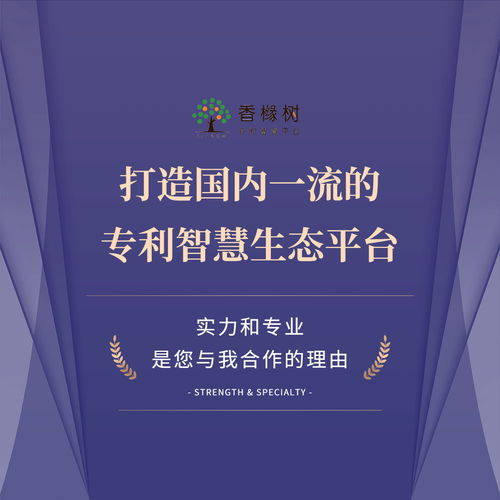 智航科泰攜手香櫞樹 知識(shí)產(chǎn)權(quán)領(lǐng)域?yàn)楹吻嗖A專業(yè)信息技術(shù)咨詢服務(wù)